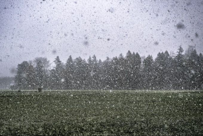 Wetter Schnee
