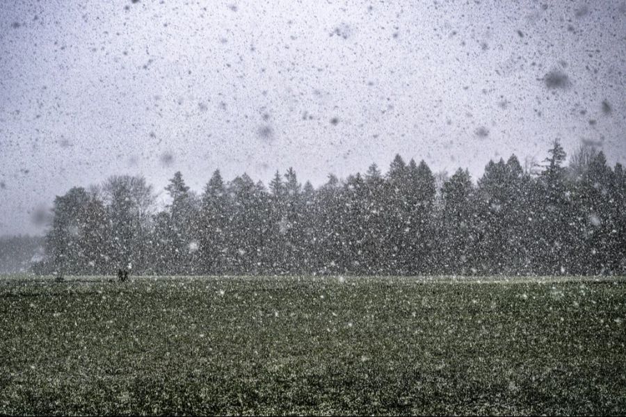 «Im Flachland gibt es etwa in jedem vierten Jahr Schnee vor Mitte November», sagt SRF-Meteorologe Felix Blumer. (Symbolbild)