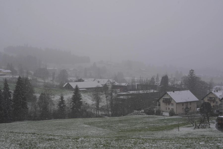 Hier fallen die ersten Flocken über Bäretswil ZH.