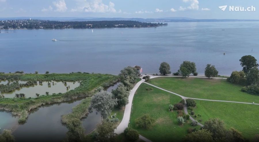 Der Seeburgpark in Kreuzlingen TG liegt direkt neben dem Hafen.