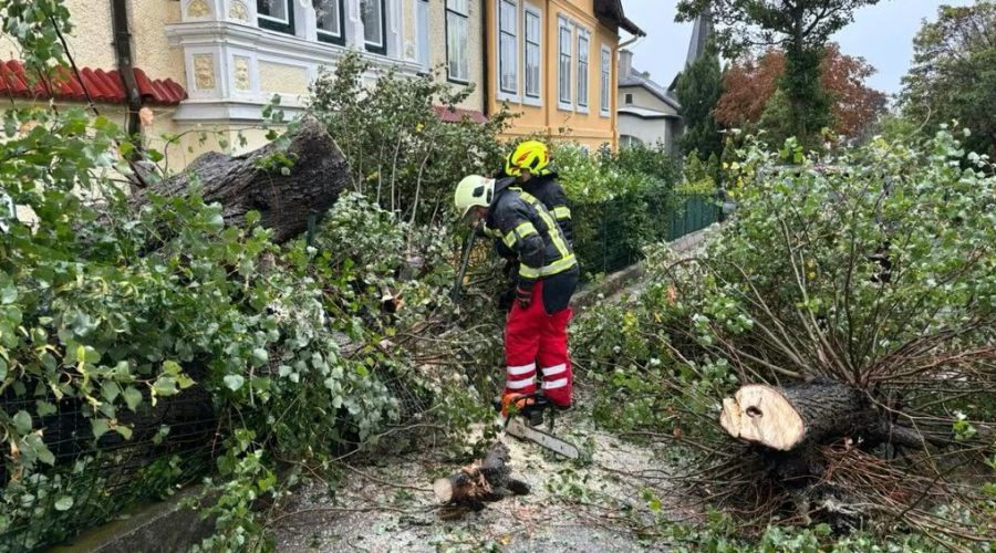 Rettungskräfte haben am Wochenende sehr viel Arbeit.