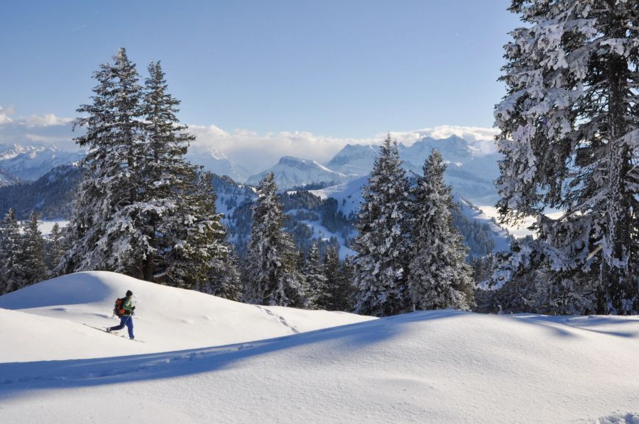 Winter Rigi Schneeschuhwandern