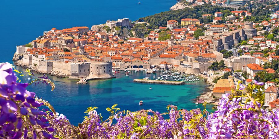 Historische Stadt Dubrovnik Blick durch Blumen,