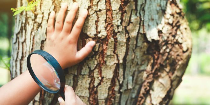 Kind Hand Lupe Baum Wald