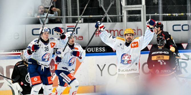 zsc lions