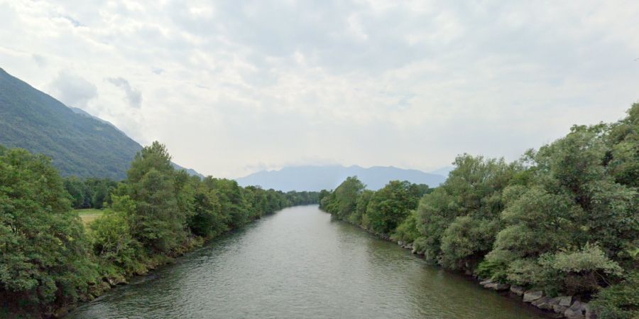 In der Schweiz wurde die Qualle das erste Mal 1962 im Fluss Ticino auf der Magadinoebene entdeckt.