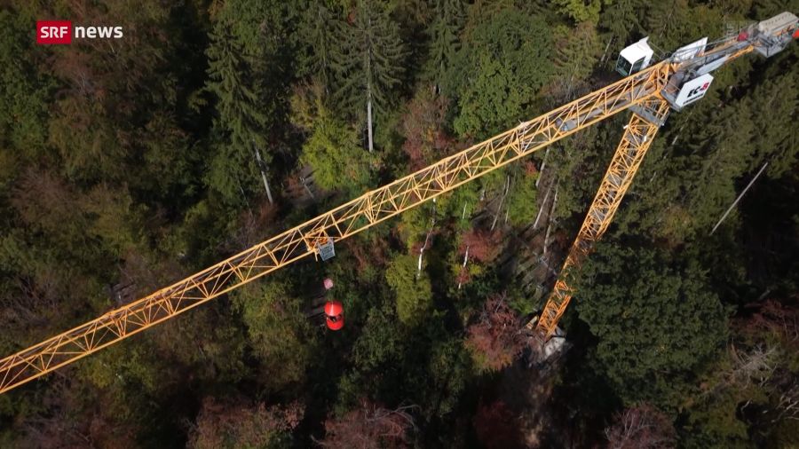 Auf einem Testgelände untersucht die Universität Basel die Folgen des Klimawandels auf den Wald.