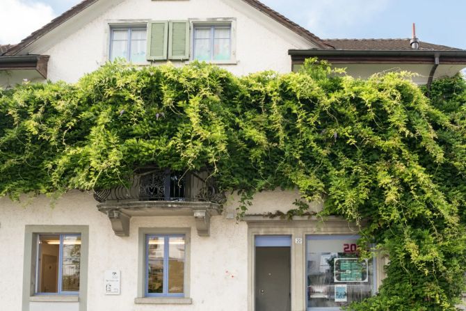 Frauenfeld TG