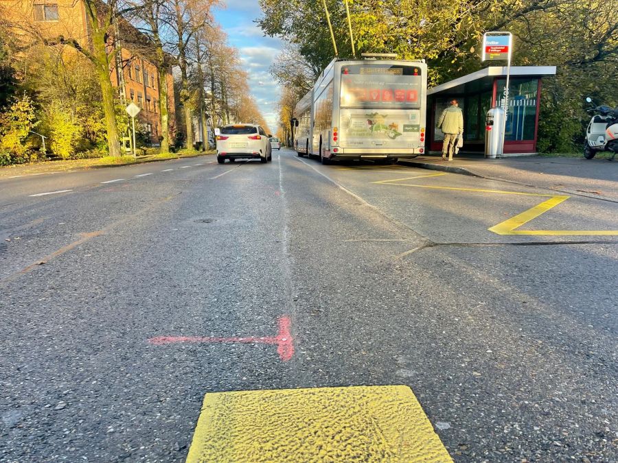 Über das Temporegime auf der Tösstalstrasse wird gestritten.