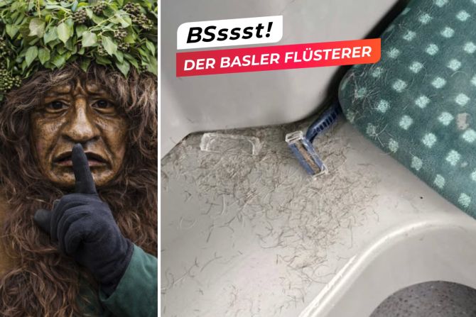 basler flüsterer