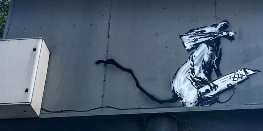 Die Ratte mit dem Cuttermesser