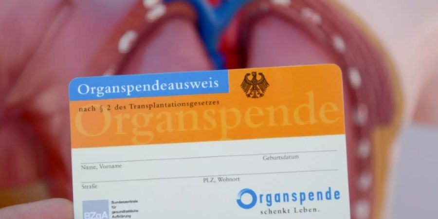 organ bundestag
