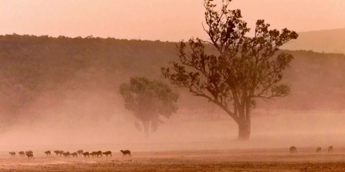 Verheerendes 2019 - Australien hatte noch nie so wenig Niederschlag