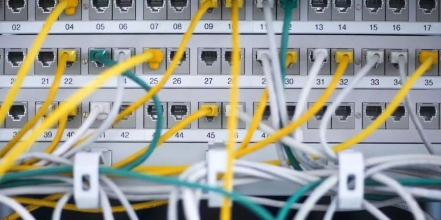 Noch halten die Netze der Telekom-Betreiber in Deutschland dem Ansturm stand. Foto: Jens Büttner/dpa-Zentralbild/dpa