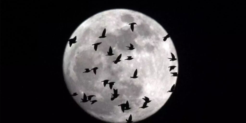 Wann Ist Vollmond