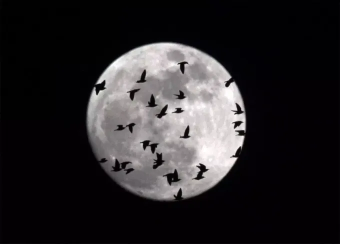 Wann Ist Vollmond