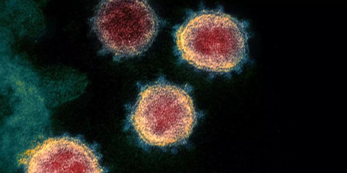 Das Coronavirus Covid-19. Coronavirus