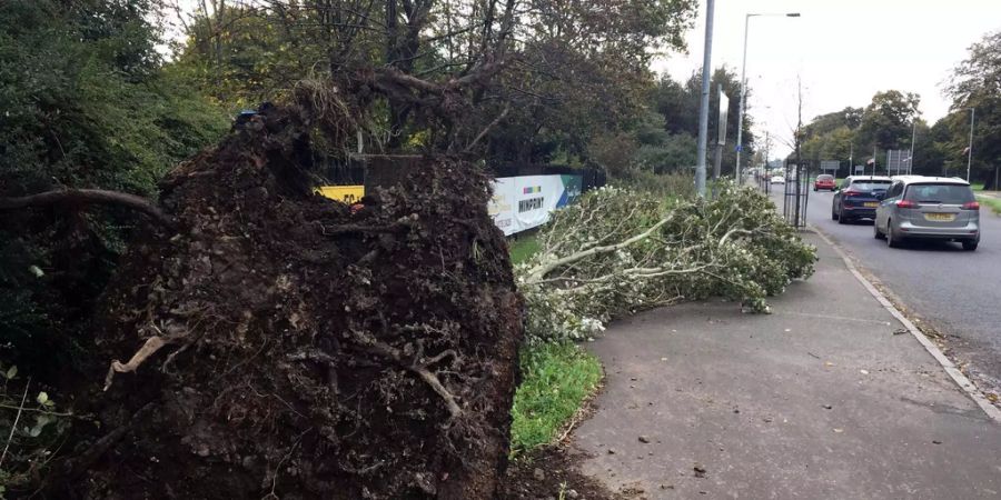 Der Sturm führte zu grossen Schäden. (Symbolbild)