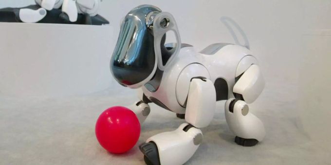 Der Roboterhund Aibo ist zurück – mit neuen Updates und neuen Funktionen. Der Roboterhund Aibo ist zurück – mit neuen Updates und neuen Funktionen.