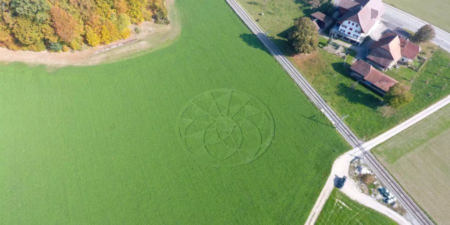 Die Sicht von oben auf den Graskreis in Niederscherli BE.