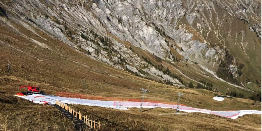 Ein dünner Streifen Schnee inmitten einer grünen Berglandschaft. So sieht das Skifahren auf der Tschentenalp im Oktober aus.