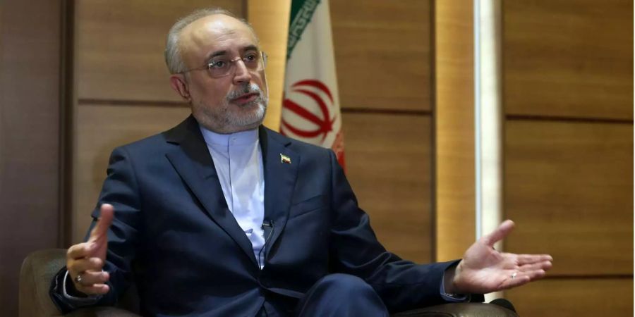 Ali-Akbar Salehi, der Chef der iranischen Atomenergieorganisation.