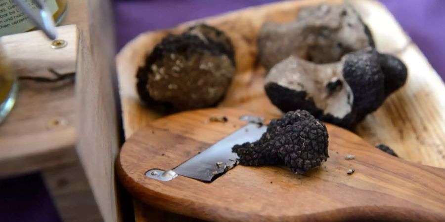 Trüffel sind selten und gehören zu den teuersten Delikatessen.
