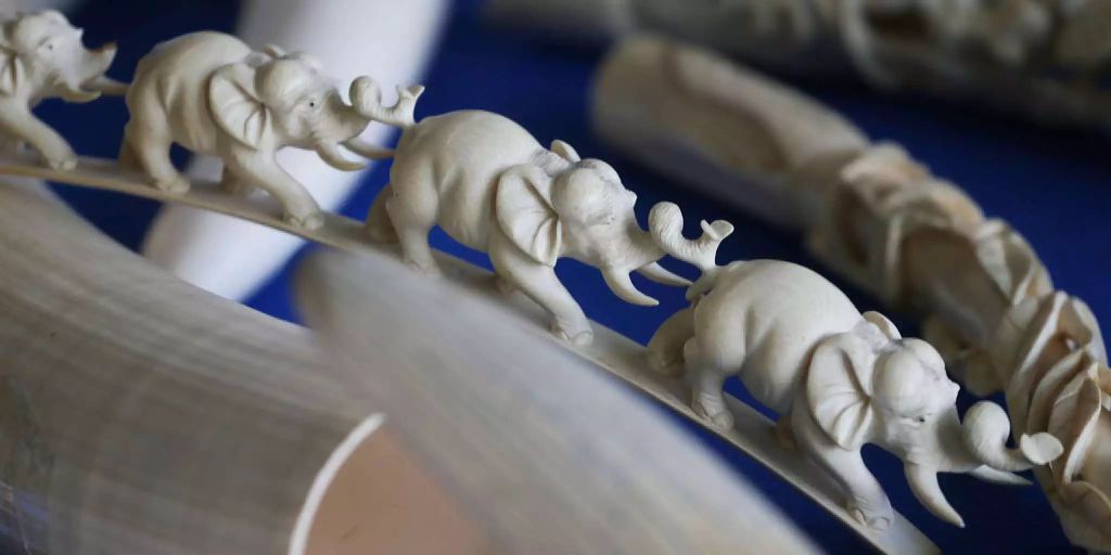 China verbietet Handel mit Elfenbein