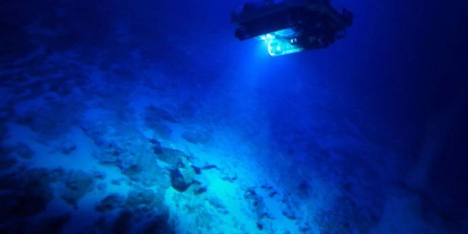 Meeresforschung vor den Bermuda-Inseln. meer