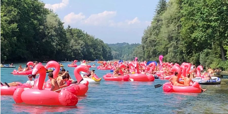 Die Flamingo-Trippe schwimmt bis ins Eichholz.