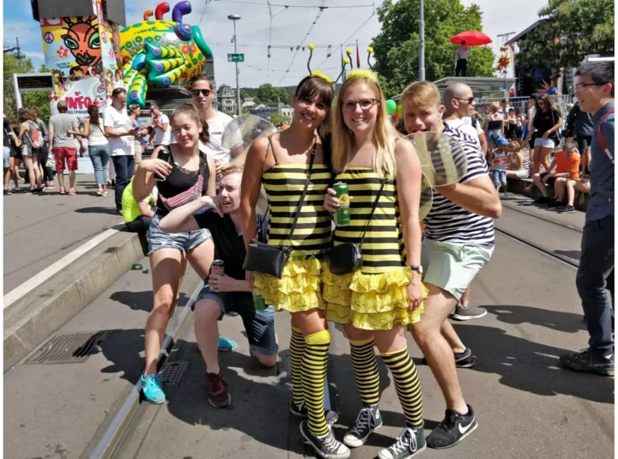 Diese beiden sind Bienen.