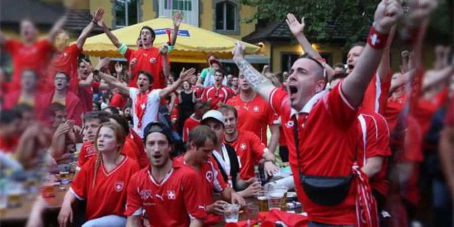 Das entscheidende Spiel zog zahlreiche Fans vor die Mattscheibe oder ins Public Viewing.