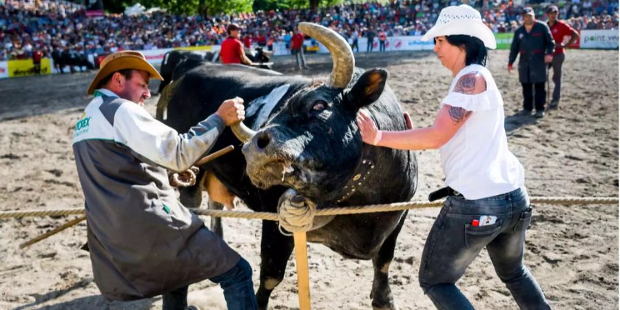 Die Vorjahressiegerin Tzigane musst sich geschlagen geben.