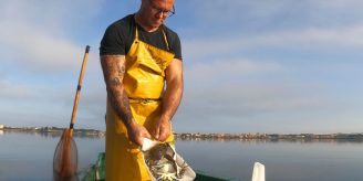 Invasion - Italien warnt vor Naturkatastrophe wegen «Killer»-Krabben