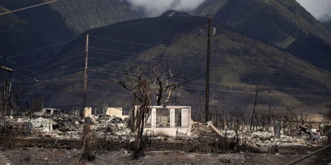Auf Maui kam es zu einer Feuerkatastrophe. Maui