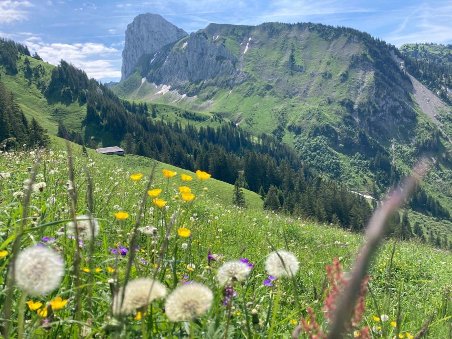 Ausflug Schweiz Herbst Wandern