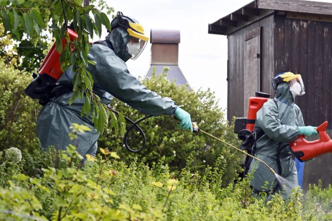 Ein Einsatz gegen den Japankäfer in Kloten ZH. japankäfer