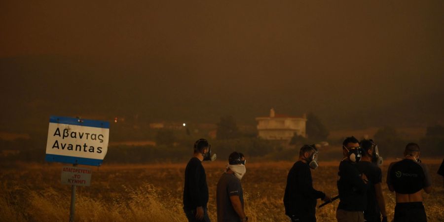 Wildfire in Alexandroupolis