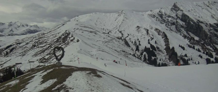 Braune Flecken auch in Adelboden auf fast 2000 Metern über Meer,