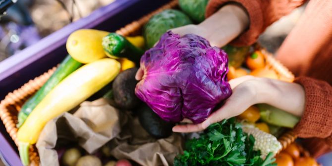 Hände Zucchetti Rotkohl Gemüse