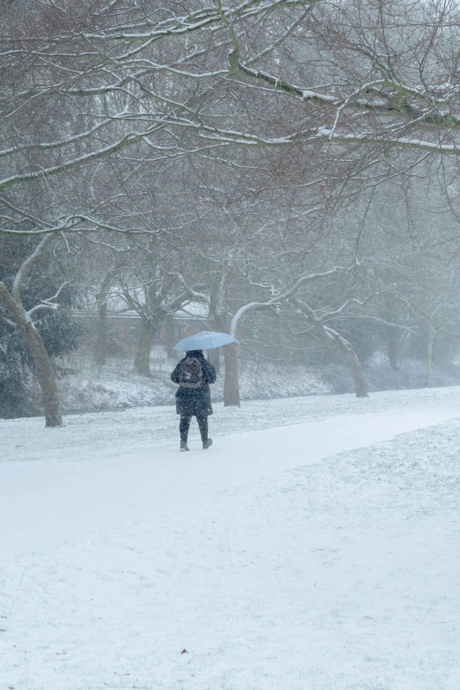 Spaziergang im Schnee