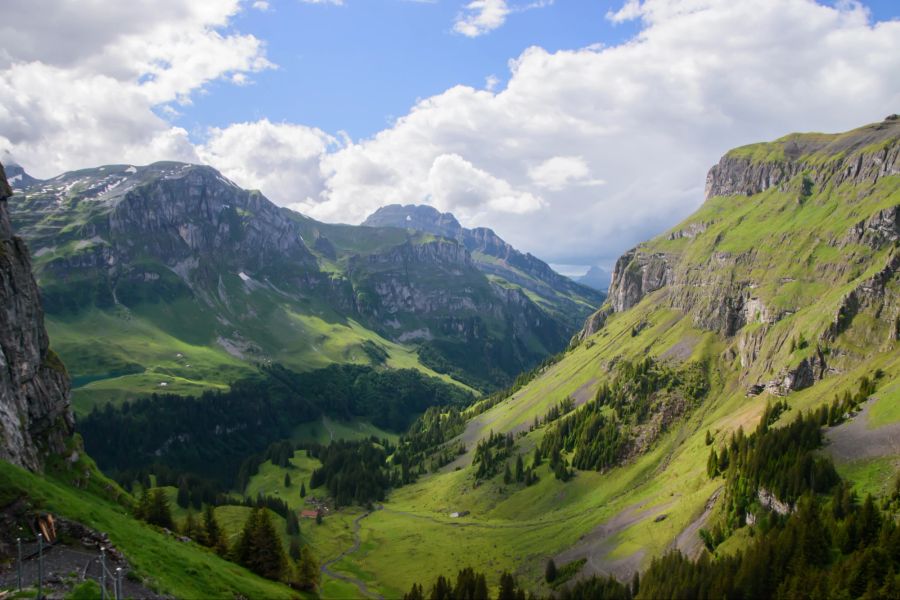 Tal Berge Wald Fichten