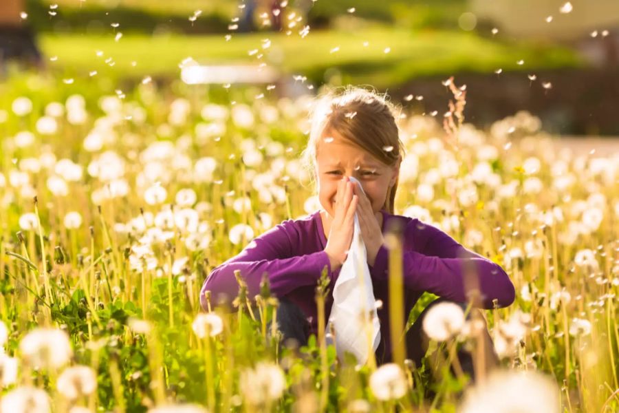 Pollen