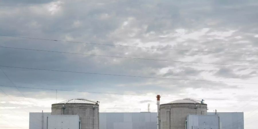 Französisches Akw in Fessenheim