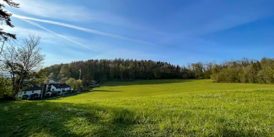 Landschaftsfoto der Gemeinde Uitikon im Kanton Zürich.