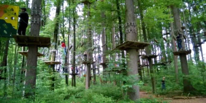 Die Parcours- und Seilparkinfrastruktur wurden durch die Betreiberin auf eigene Kosten errichtet. Seil- & Adventurepark Zürich