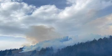 Brand