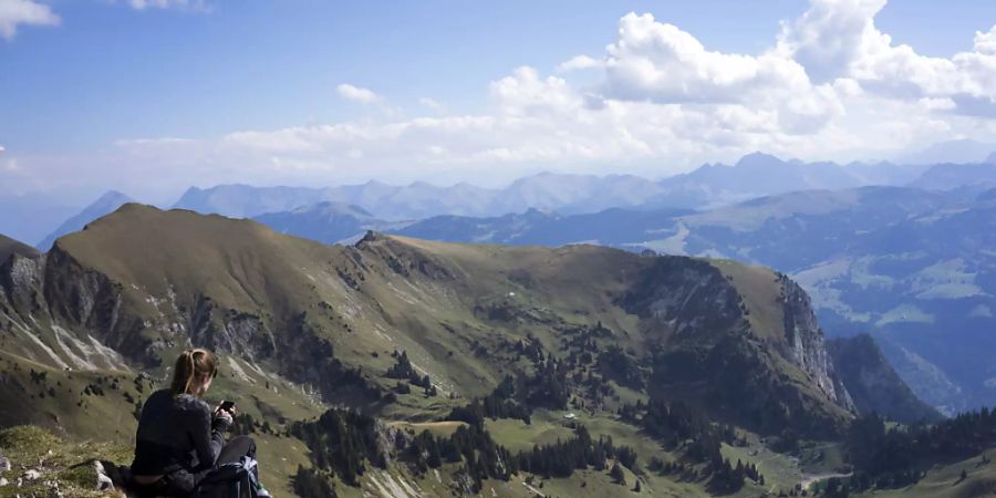 Welcher Berg ist das? Welcher Vogel trällert da? Handy-Apps sind Lehrmeister auch in der Natur. (Symbolbild)