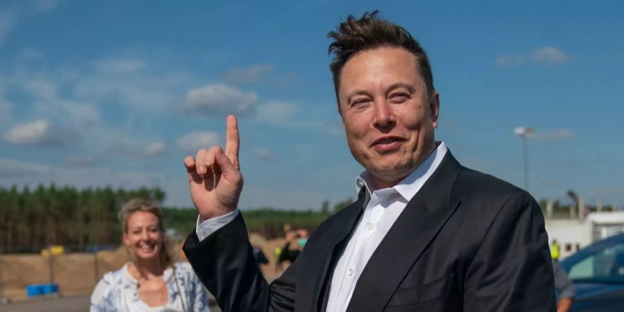 Elon Musk Steuerdaten