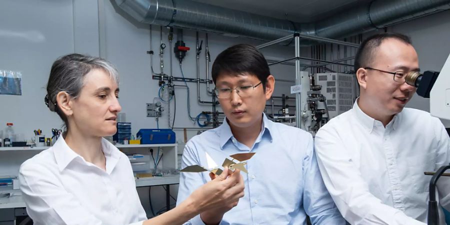 Laura Heyderman und Tian-Yun Huang (Mitte) betrachten ein vergrössertes Modell des Mikroroboters, der an einen Origami-Vogel erinnert. Jizhai Cui (rechts) betrachtet den echten Mikroroboter unter einem Mikroskop.
